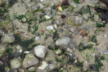 Vue de près de rochers dans l'océan