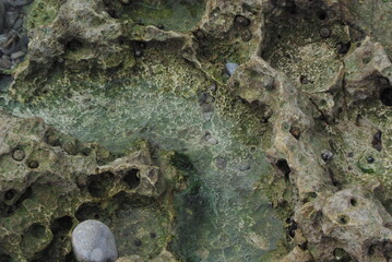 Vue de près de rochers dans l'océan