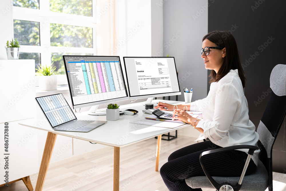 Poster accountant manager using financial manager invoice