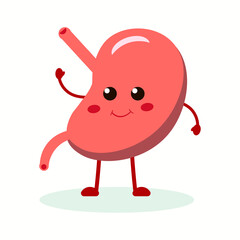 Strong healthy happy stomach.Vector cartoon illustration icon design. Isolated on white background.