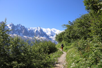 Sentier du tour du Mont Blanc ; Paysage de la chaine du Mont Blanc. Vue sur Le Mont Blanc, Le mont...