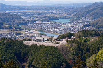【岐阜県八百津町】めいそうの森から見る八百津町の街並みと満開の桜