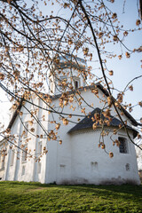 A church with a golden dome against the sky, with tree branches 