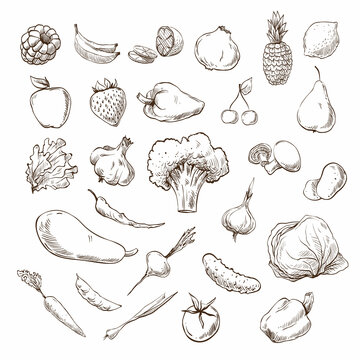 Vegetables and fruits hand drawn, vector illustration