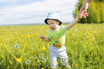  child in a flower field. Country life. Family vacation. The boy is holding his dad's hand