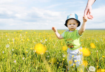  child in a flower field. Country life. Family vacation. The boy is holding his dad's hand