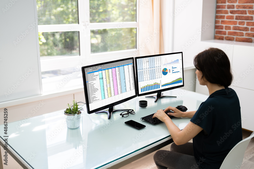 Poster analyst working with spreadsheet business data
