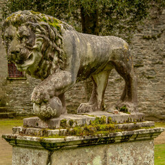 Fototapeta na wymiar Statue lion