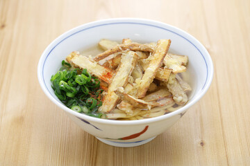 burdock tempura udon noodles soup, japanese fukuoka food