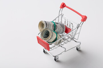 American banknotes in a metal grocery basket on a white background.