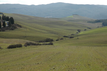 Immagine delle  dolci colline di Siena .Toscana 