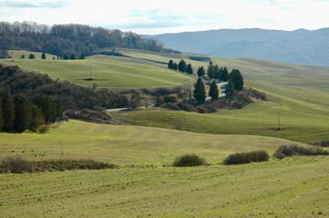 Obraz premium Immagine delle dolci colline di Siena .Toscana 