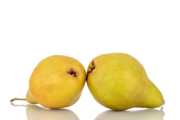 Two sweet juicy pears , macro, isolated on white background.