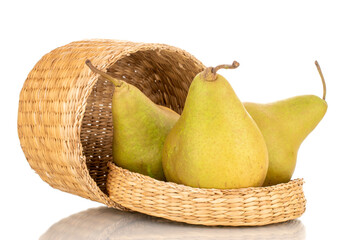 Three sweet juicy pears with straw basket , macro, isolated on white background.