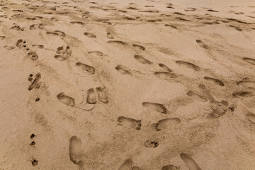 Fototapeta na wymiar lots of footprints in the sand