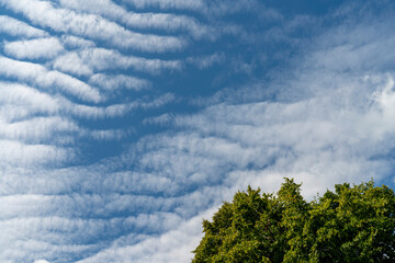 Cirrostratus clouds on a sultry summer day. A rare view of cirrostratus clouds on a calm day....