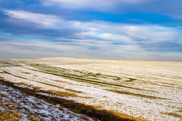 Empty winter landscape with meadows and fields on a snowy day