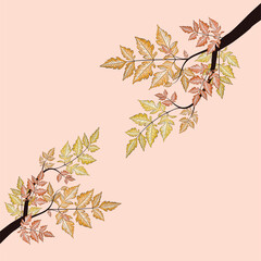 Branch with autumn leaves