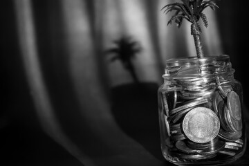 Currency in a glass jar (black and white)