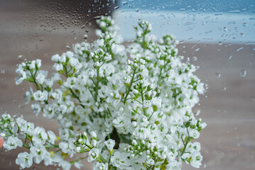 Close-up White flowers in vase on white table with natural light High quality photo. Selective focus.