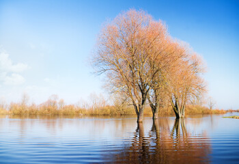 Obraz premium Spring high water