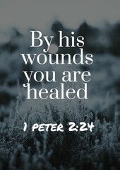 English Bible Word" By his Wounds you are Healed 1 peter 2:24"