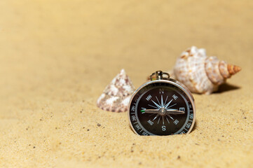 Compass and seashells on the sand at the beach