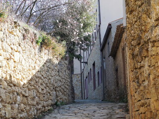 calle de la cuestecita entre viejos muros y fachadas de piedra con un almendro en flor por sombrero, en vilanova de prades, tarragona, españa, europa - obrazy, fototapety, plakaty