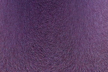 dark Background images with bright colors 