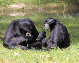 mother and baby