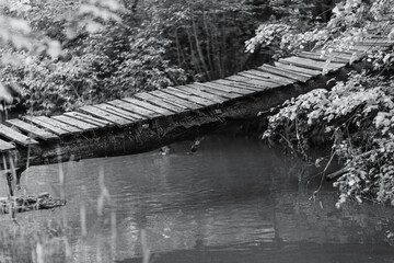Kładka nad wodą © Zbigniew