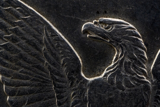 Morgan Liberty Dollar Reverse Bold Eagle Super Macro