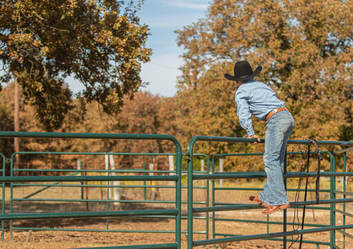 young boy with dressed western climbing on the side of a horse pen 