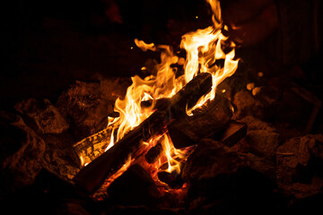 Bonfire. The fire. Flames. Burning firewood.