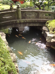Bridge over koi pond in a park in Tokyo - Japan.