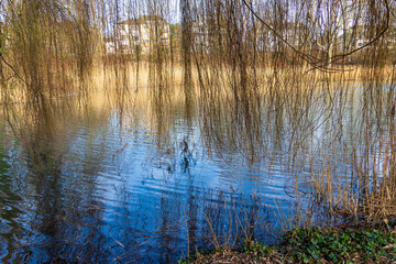 Klettenbergpark Köln