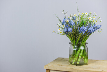 Traubenhyazinthen und Kamille in Blumenvase, Frühling Blumen dekorieren

