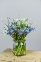 Traubenhyazinthen und Kamille in Blumenvase, Frühling Blumen dekorieren
