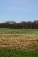 ein Feld im Winter