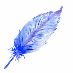Watercolor feather illustration isolated on white background. Boho style.