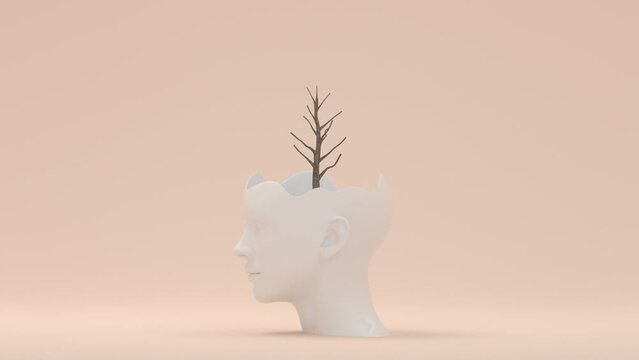 Tree sprouting on the head of a mannequin