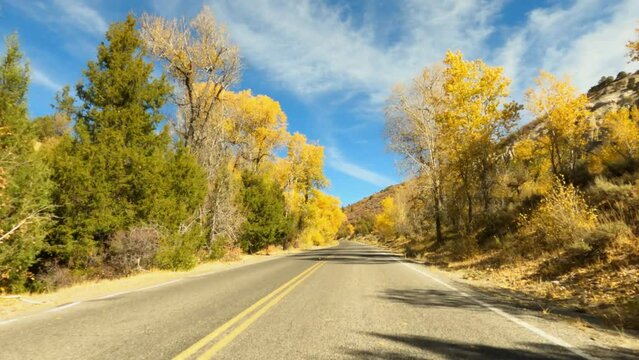 Autumn fall drive mountain scenic byway colorful POV fast. Beautiful autumn fall colors along Wasatch Mountains. Valley landscape with road and colorful fall trees. Mount Nebo Scenic Byway, Utah.
