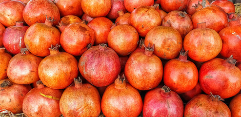close up of red apples