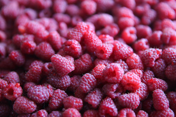 Ripe raspberry background, top view	