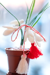 Holiday 1 March. White snowdrops Galanthus nivalis in a pot on a blue background with martisor mascot. Symbol of spring and Baba Marta in Moldova.