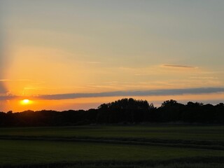 Fototapeta na wymiar Sunset Over Silhouetted Trees.