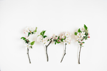 Minimalistic concept. Branches of an apple tree with white flowers on a white background. Creative lifestyle, spring concept. Flat lay, top view.