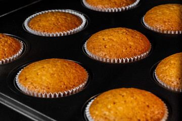 Baked cupcakes, muffins in muffin tin in electric oven - close up view. Homemade bakery, food, cooking and pastry concept