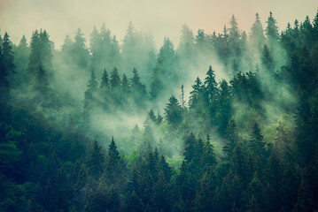 Fototapeta premium Misty mountain landscape