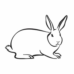 Hand drawn rabbit, graphic hare illustration. Animal isolated on white background. Easter day cute symbol